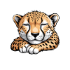 Cheetah Sayings Cheetah Funny Cheetah Gift