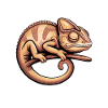 Chameleon Sayings Funny Chameleon Gift