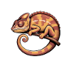 Chameleon Sayings Funny Chameleon Gift