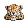 Cheetah Sayings Cheetah Funny Cheetah Gift