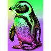 penguin