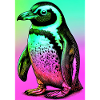 penguin