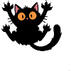 Black Cat Gripped Humor