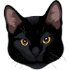 Schwarzes Katzengesicht