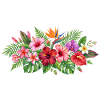Tropical Blossoms Pattern