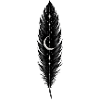 Midnight Feather