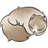 Sleeping Fluff Kitty