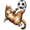 Katzenkick-Fußball