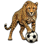 Attaquant de football Léopard