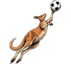 Kangaroo Goalkeeper Football 