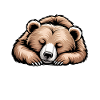 Bear Sayings Bear Funny Bear Gift