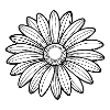 Daisy Flower