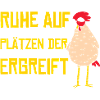 Hühnerflüsterer Huhn Hühnerhalter Hühner