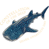 Constellation Of The Deep – Walhai