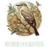 Oiseaux moqueurs Oiseaux moqueurs