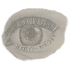 Realistic Eye Drawing - Pencil