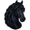 Portrait d'un cheval frison