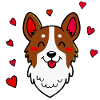 Herziger Border Collie (Comic-Porträt)