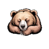 Bear Sayings Bear Funny Bear Gift