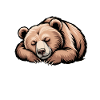 Bear Sayings Bear Funny Bear Gift