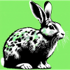 lapin