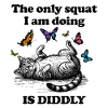Lazy Fitness Cat with Butterflies