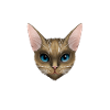 Blue Eyed Cat Portrait