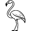 flamingo