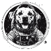 Space dog in suit