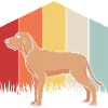 Redbone Coonhound