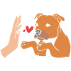 Staffordshire Bullterrier