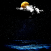 Moonlit Ocean Nightscape