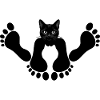 Chat noir