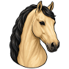Isabella Lusitano Horse Portrait
