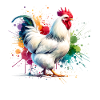 Leghorn Chickens Leghorn Chicken