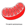 Mitochondrion: Semi-Autonomous