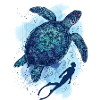The Big Turtle & Diver