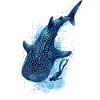 Géant requin-baleines et plongeur