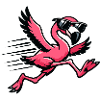 Flamingo in sprint with sunglasses