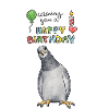 Pigeon Birthday Cheer