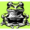 Frosch