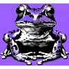 Frosch