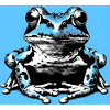 frog
