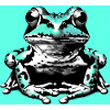 frog