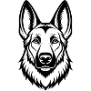 German Shepherd Head