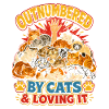 Cat Abundance Declaration of Love