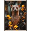 Mongoose's Mongoose