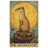 Mongoose's Mongoose