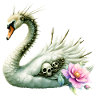 Dark Swan with Skulls and Flowers