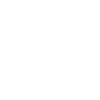 Desert Brush Cactus